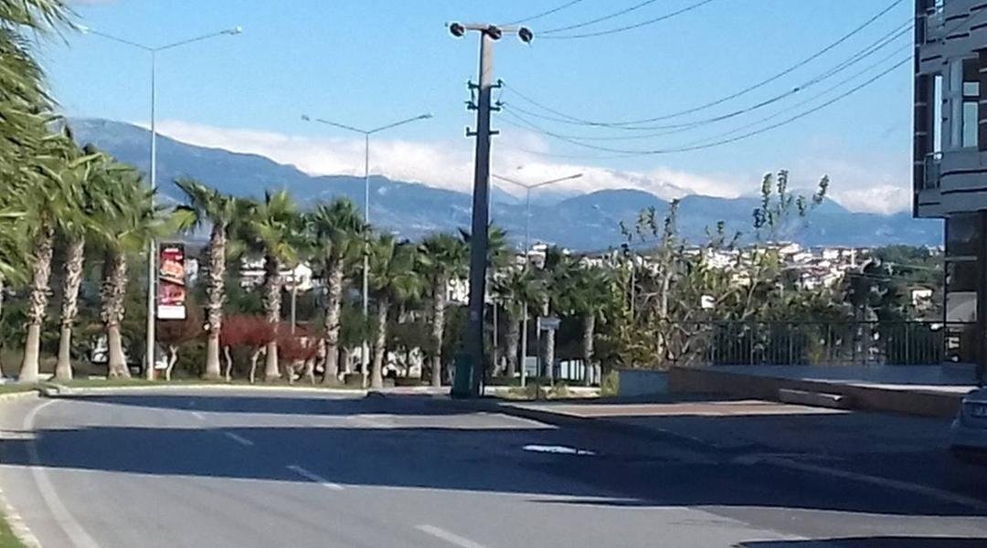. Walks were a bit brisk today...