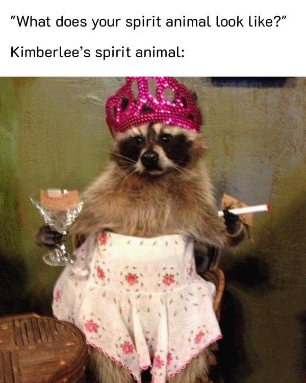 🙀 how can it not be a CAT?!?! 😂