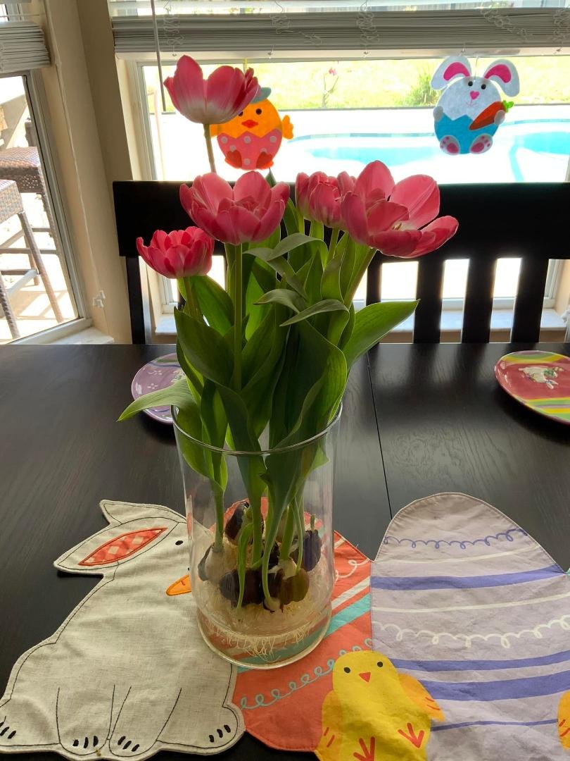 Beautiful Easter flowers thank you Theresa Irene Cahill