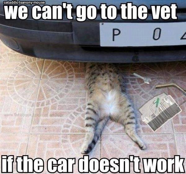 Sandra Claybrook's album, Timeline Photos