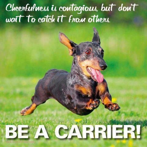 Steve Armstrong's album, Timeline Photos