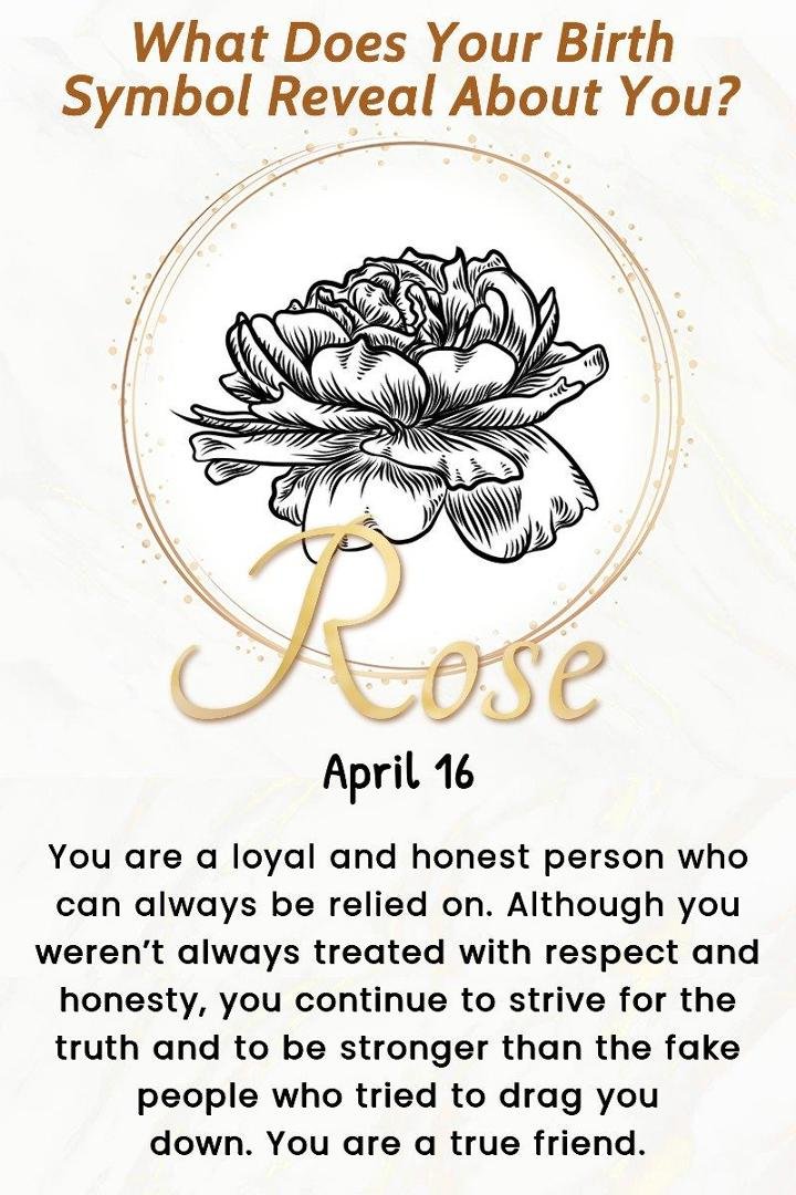 Susan Calkin's album, Timeline Photos