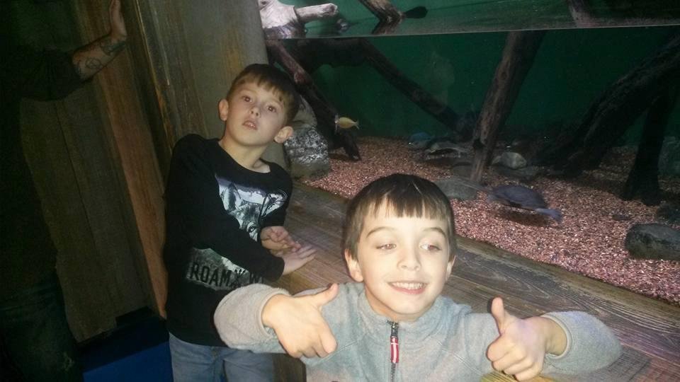 Jeffrey Brophy's album, Timeline Photos