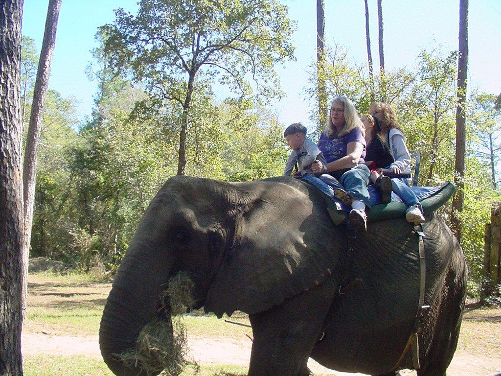 Ruths latest trip to Africa with her Grandson Aiden