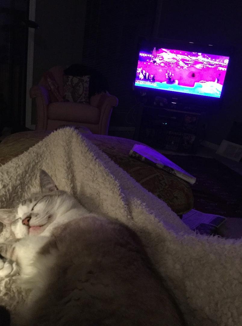 I love the Olympics! I'm in heaven, Raffie not so much!