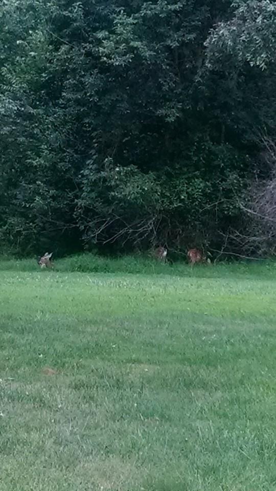 Mom and the kids.... Almost dark....
