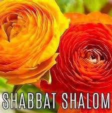 As we pause for Shabbat/Sabbath, we are mindful of how far humanity has yet to travel before it is violence that is laid to rest . . . and not another family member.
Humankind, we've got to do better than what has been the