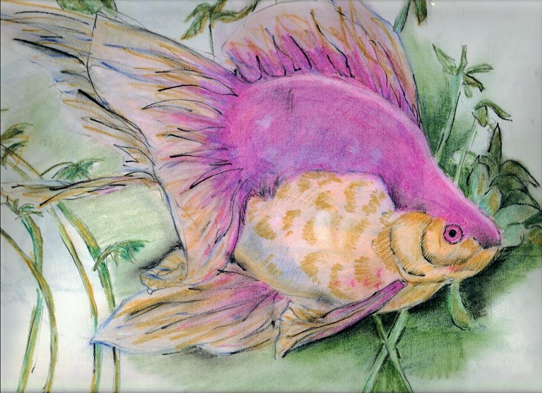 prisma color pencils