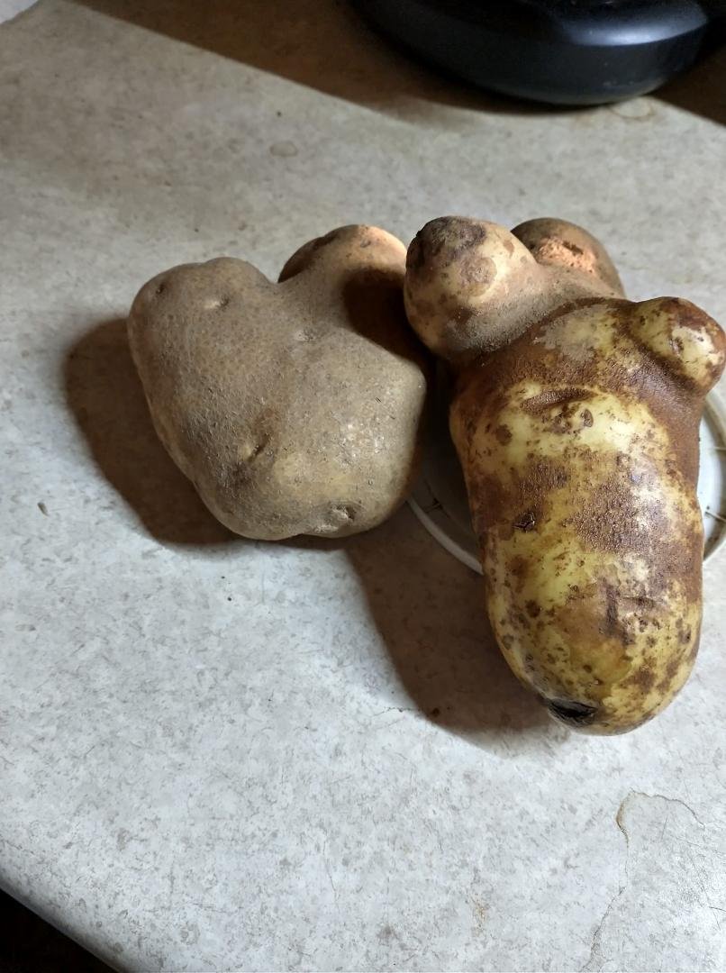 2 potato s in the bag