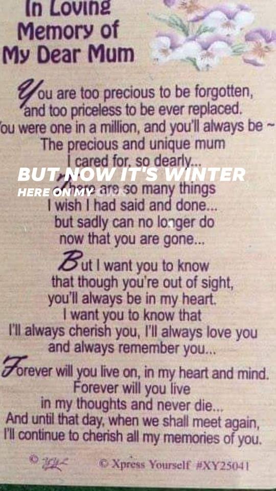 Cindy Miller's album, Timeline photos