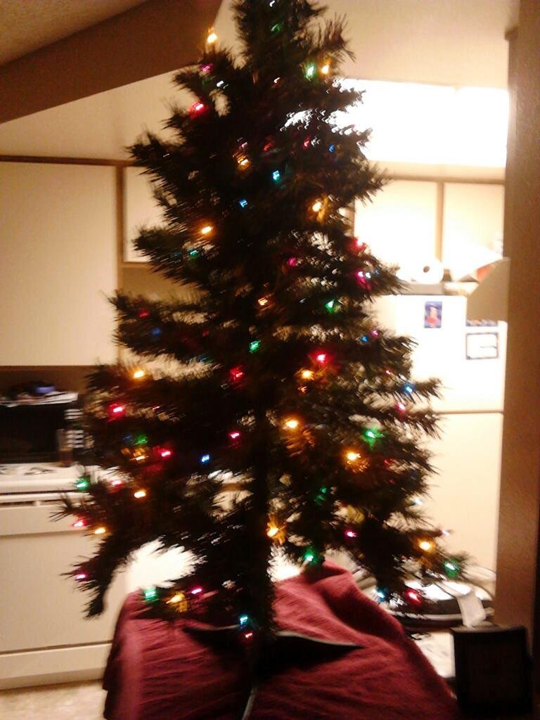 OMG i have a tree and it spawns lil colorful alien spores on its leaves AAAAAAAAAHHHH!!!!!!