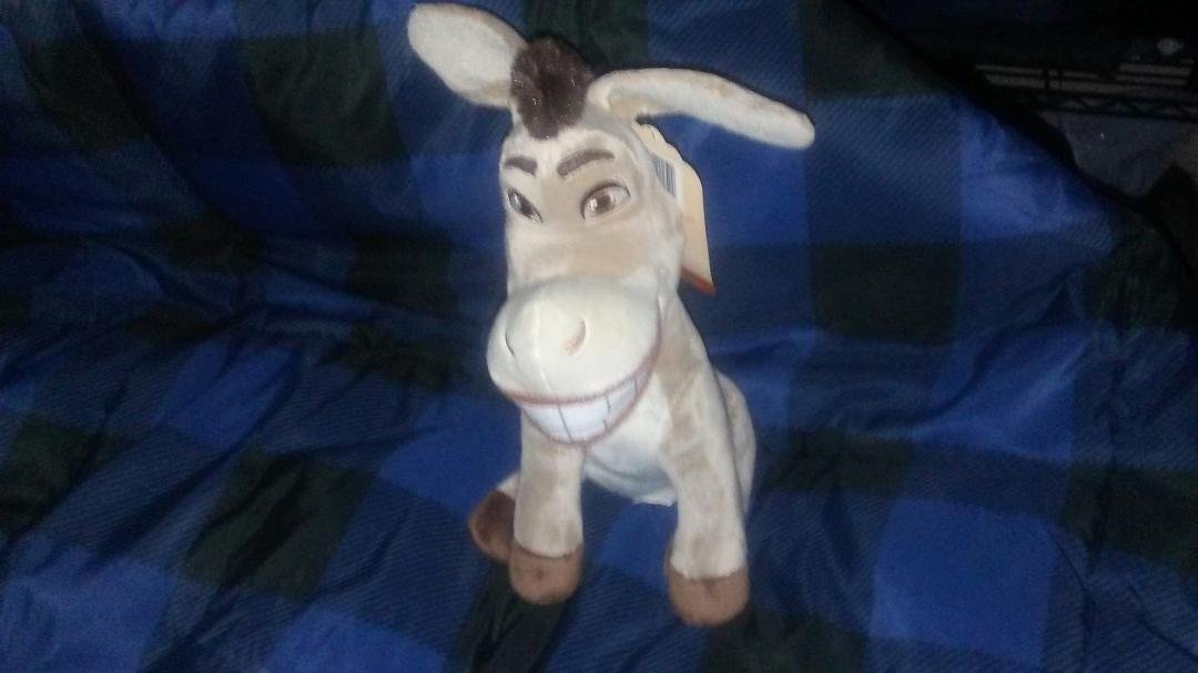 I wanted a mini donkey for christmas, this is what i got!!! A really mini donkey.
