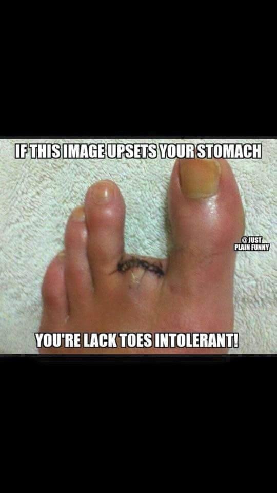 Where'd this lil piggy go?