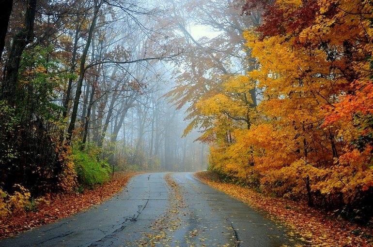 Debra Davis' album, AZ Seasonal Pictures