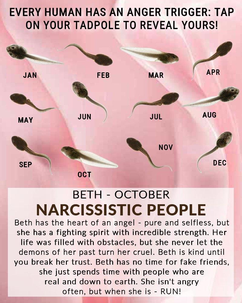Beth Highsmith's album, Fotos de la biografía