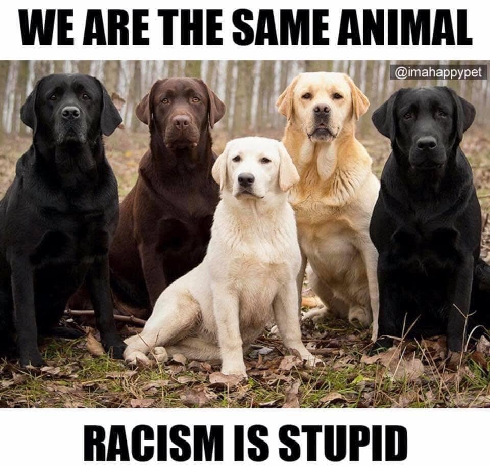 Jeff Mackey's album, Timeline Photos
