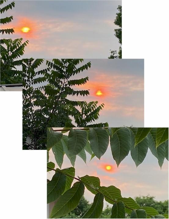 About 3-4 p.m. yesterday the sun was amazing. Did anyone else notice?