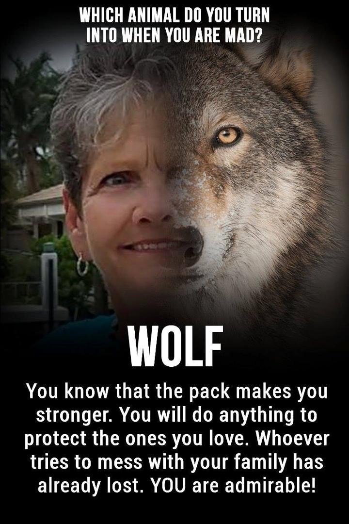 Jackie Bargdill's album, Timeline Photos