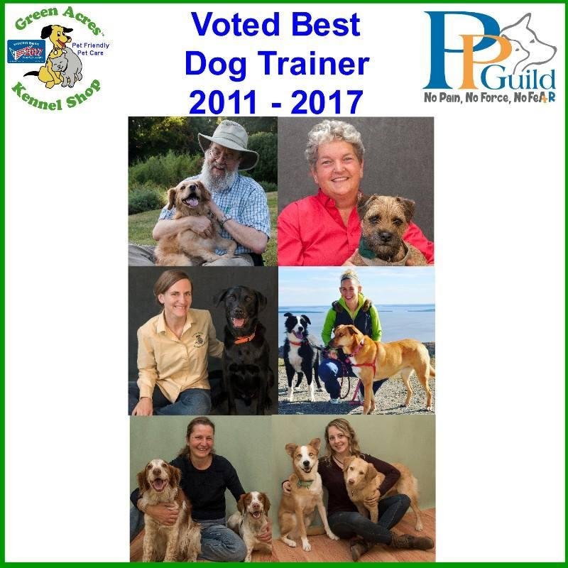 PLEASE SHARE – The greater Bangor region has selected Green Acres Kennel Shop, as the Bangor Regions Best Dog Trainer for the seventh consecutive year in a survey conducted by Market Surveys of America and the GKM Independe