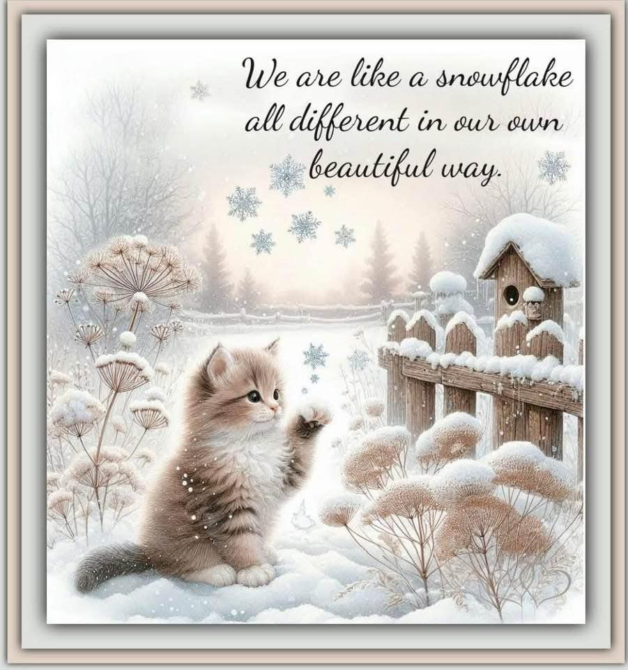 Merry Christmas y’all