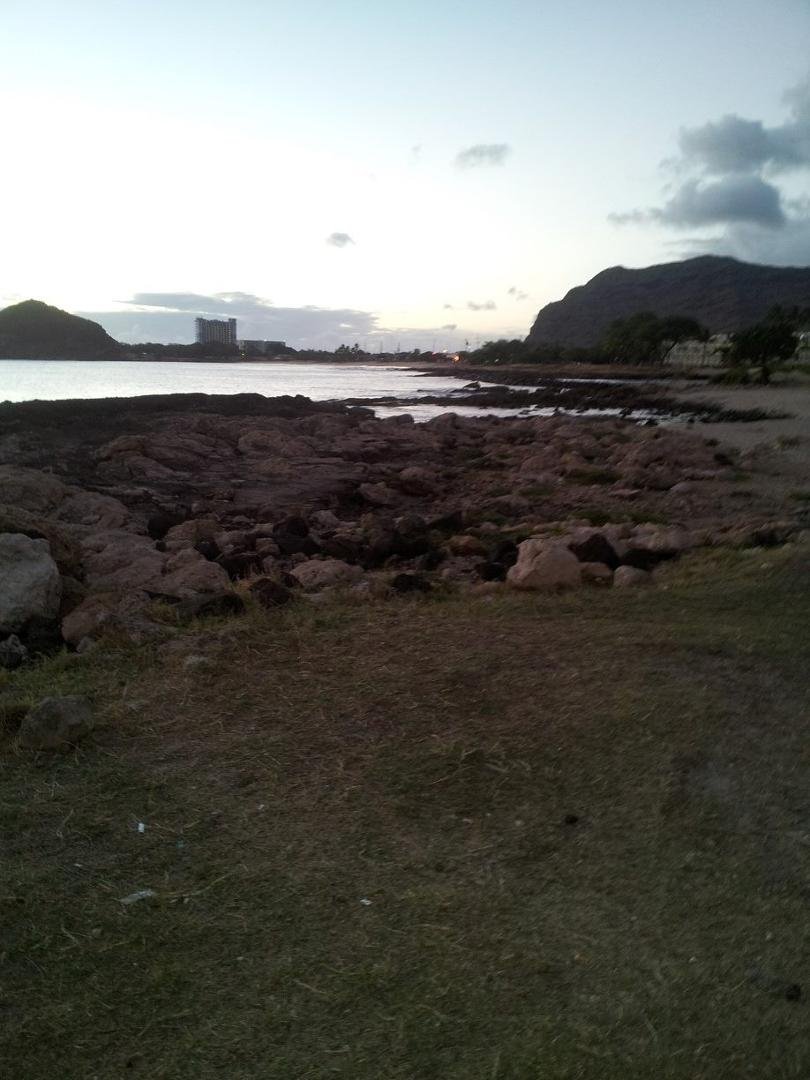 Steven Johnson's album, Mobile Uploads
