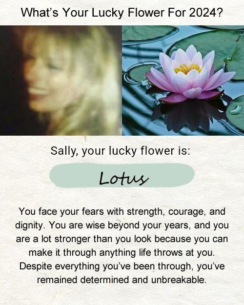 Sally A Ramsey's album, Timeline photos