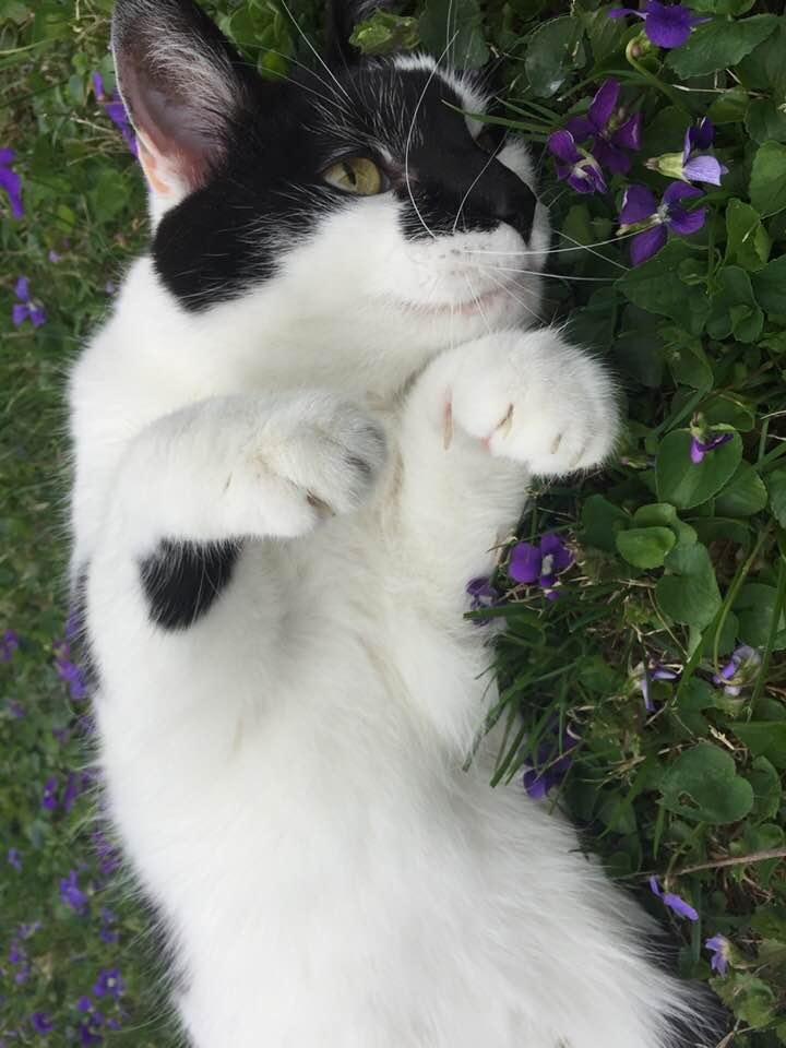Barbara Goff's album, Timeline Photos