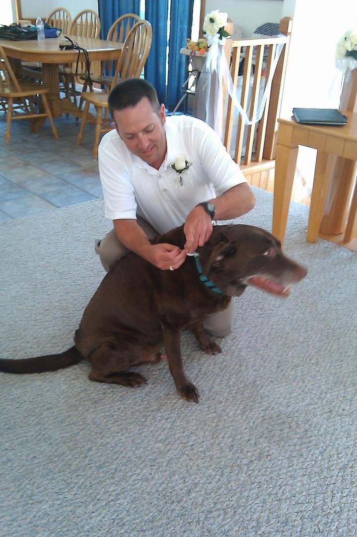 Matt & Chino the Ring Bearer! Matt attaching the rings to Chino's Collar