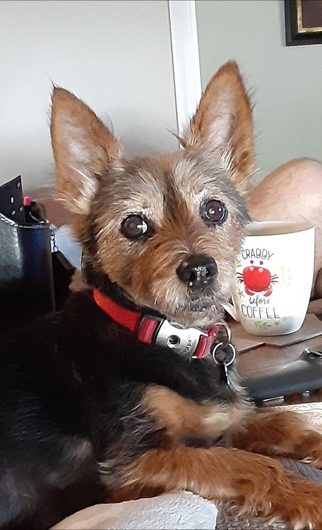 Mr. Sam looking good for 13 years.