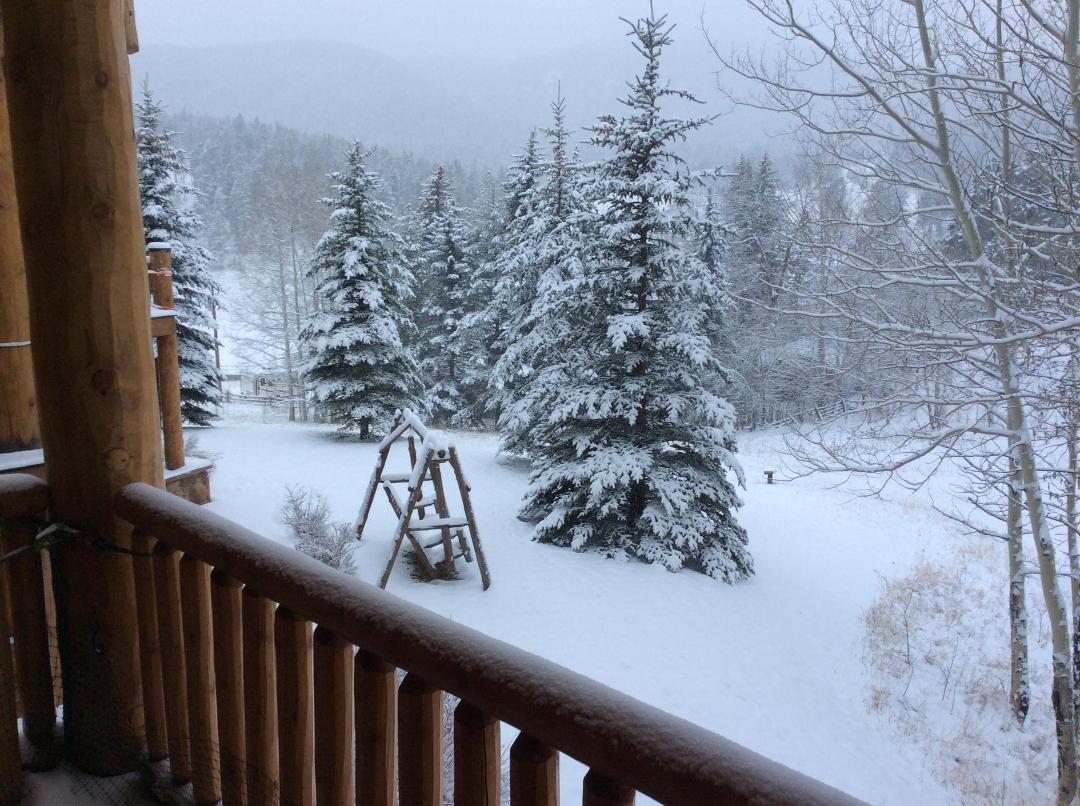 Thursday, May 9th, what! Poor hummingbirds Crazy Spring in Colorado