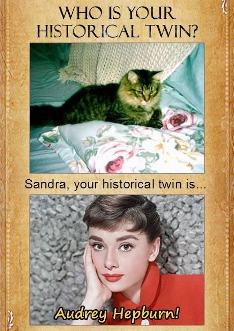 Sandra Niemeier's album, Timeline Photos