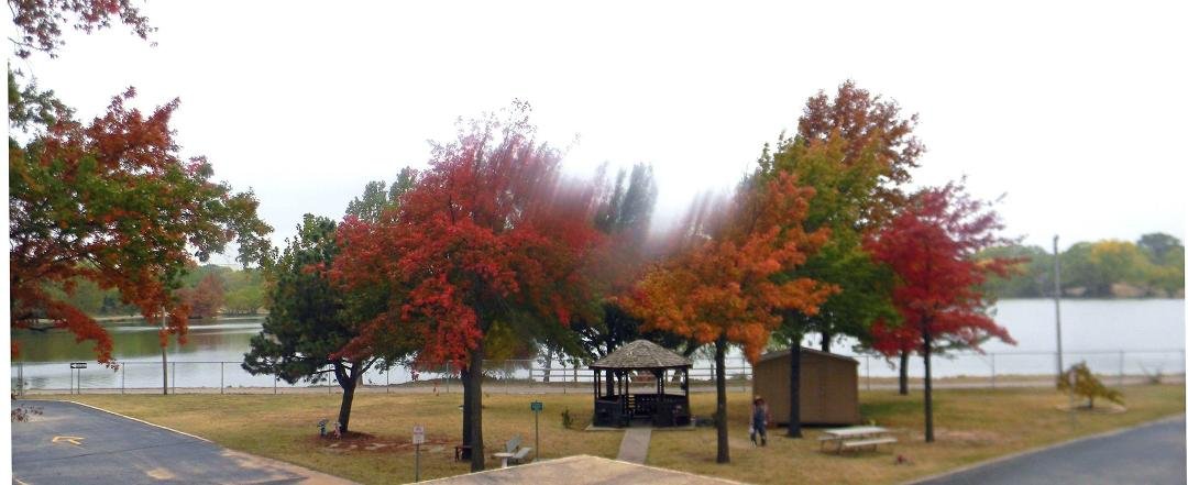 Autumn Trees at DAnforth Apts in Oklahoma City