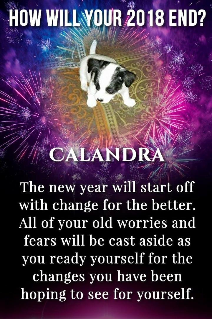calandra addison's album, Timeline Photos