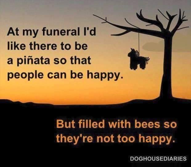 Darin Gustafson's album, Timeline Photos