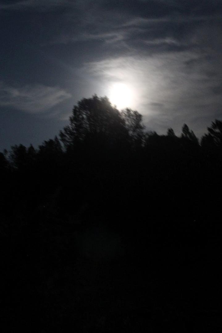 I took this from our back yard, the super moon over Mt. Aukum Sunday.