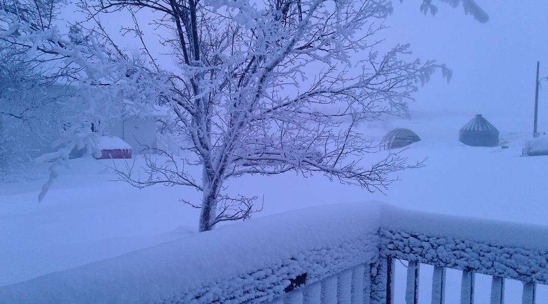 December 26 AM I couldn't get the door open any further to take the pic!