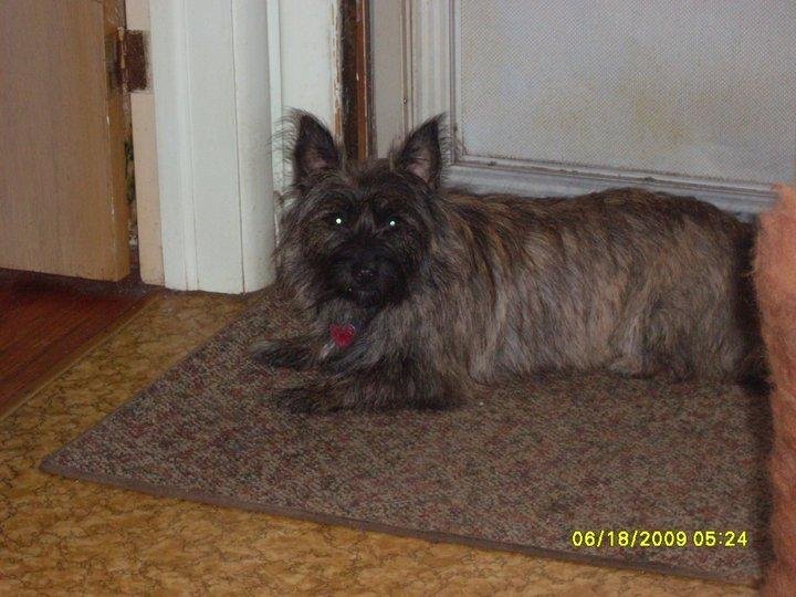 Cathie Gibbs' album, April 5, 2011