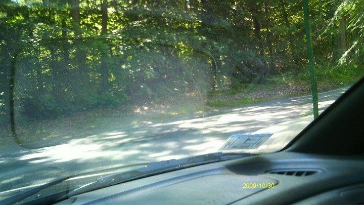 Jonathan Eddy's album, Wellesley Farms to Wellesley Fells via Wellesley Hills without using Rt 9.