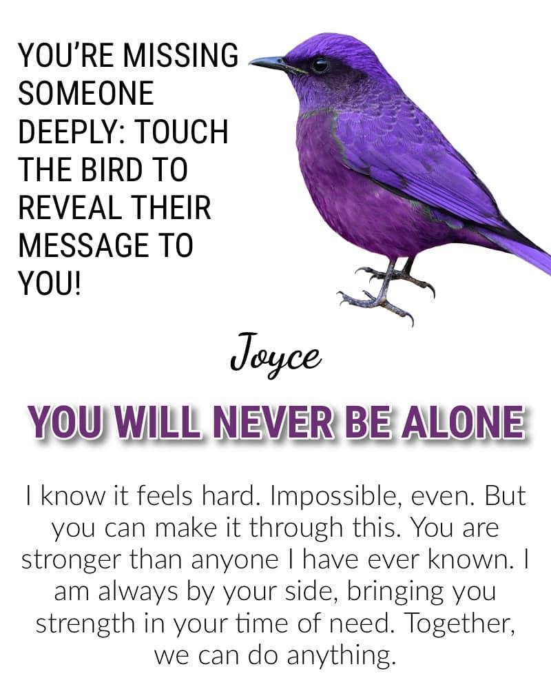 Joyce Soluri's album, Timeline photos