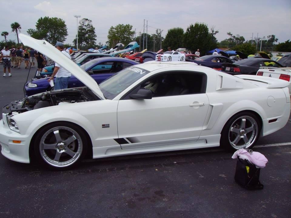 John Webster's album, Just Mustangs