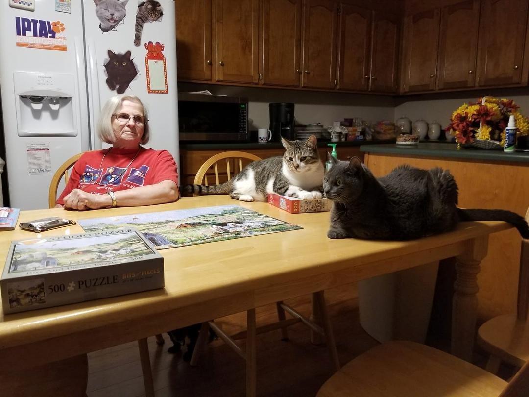 Freddy and Jody can't understand why Joan won't let them help with the puzzle too.