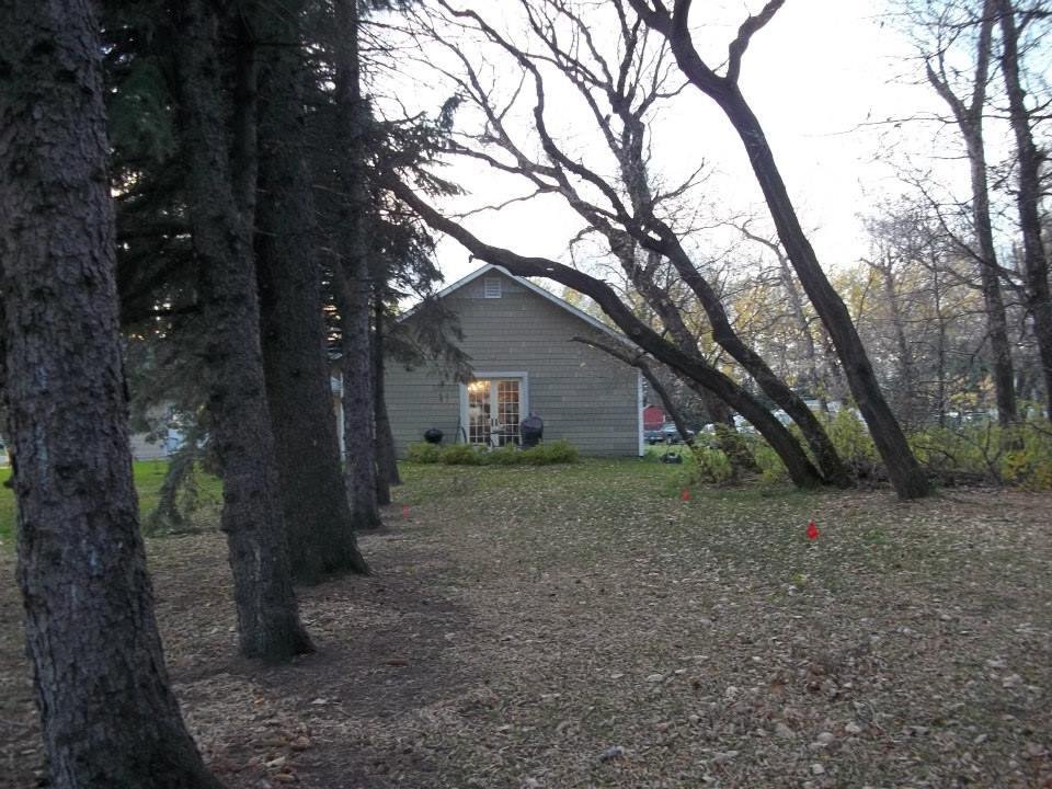 Man Cave from the Woods