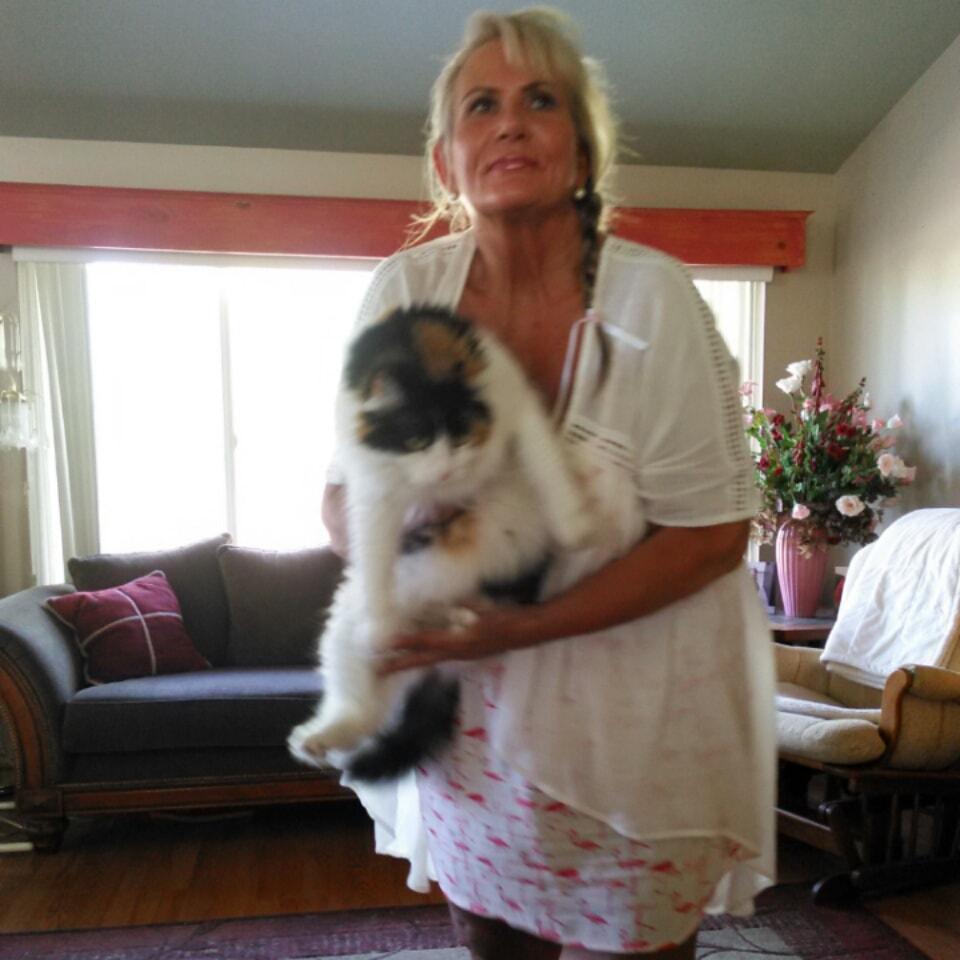 Princess Issabella the cat escaped a coyote in our yard today.