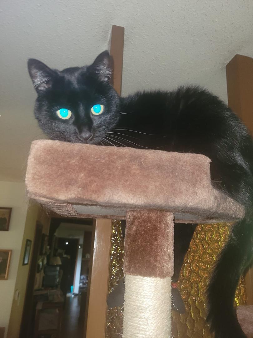 I will destroy you with my Lazer vision.