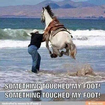 Dave Bush's album, Timeline Photos