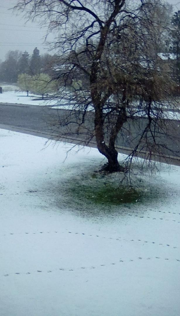 Just another Spring day in Colorado.