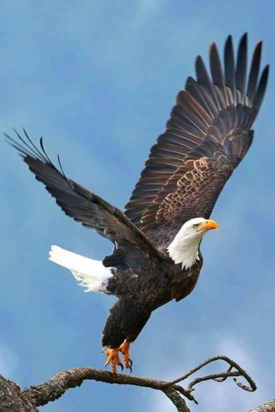 Awesome photo