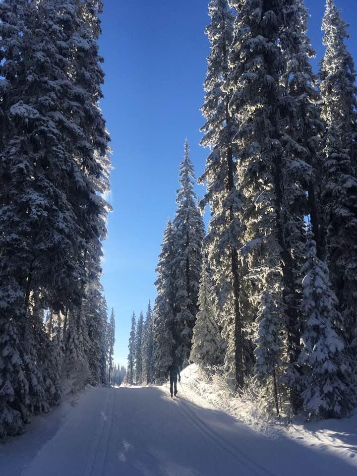 X-c skiing at Sovereign Lake trails BC 
Absolutely Marvellous 🎄🍁😀