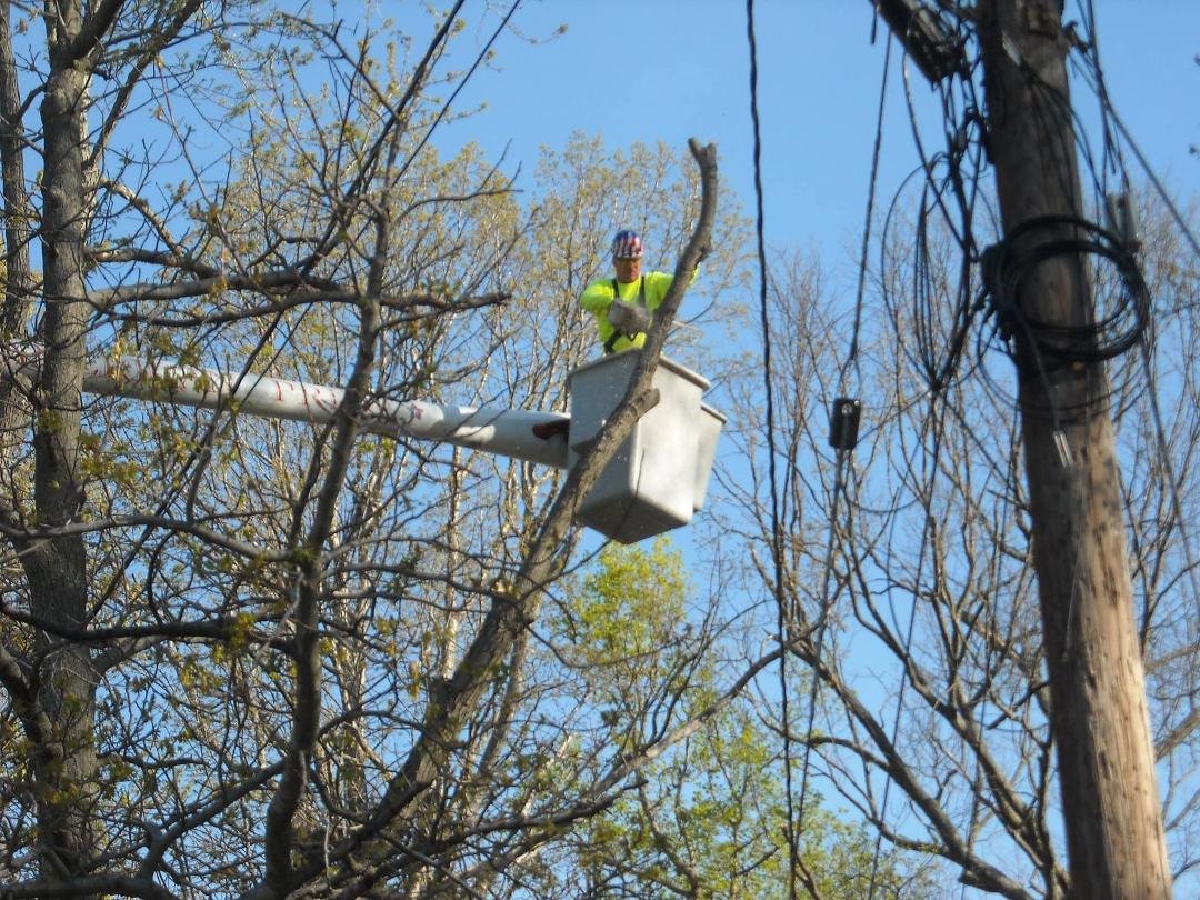 "Oh i'm a lumberjack and I'm OK...I work all night and I sleep all day...!."
Good day for a tree-trimming at Lantern Lane.