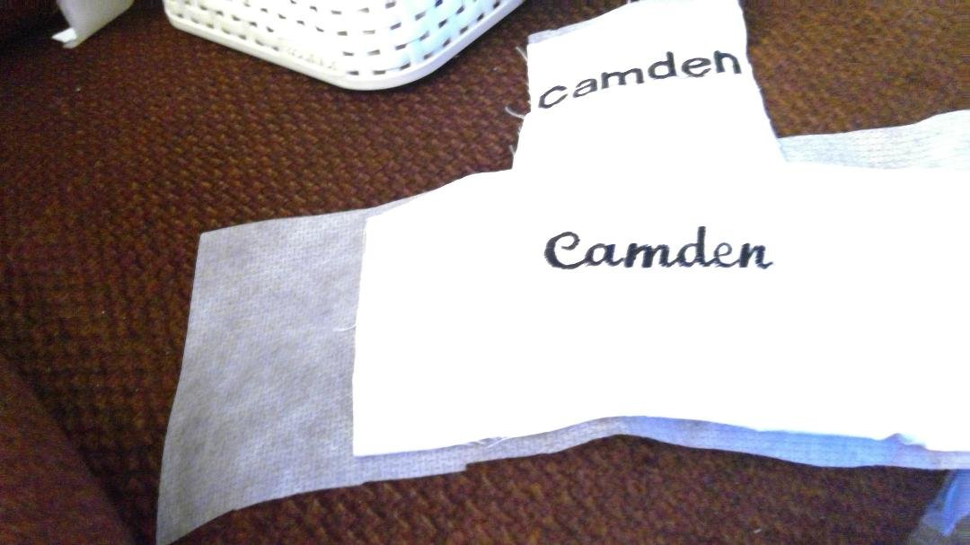 Which looks the best, top or bottom. This is going on the quilt. MIght have to send another picture.